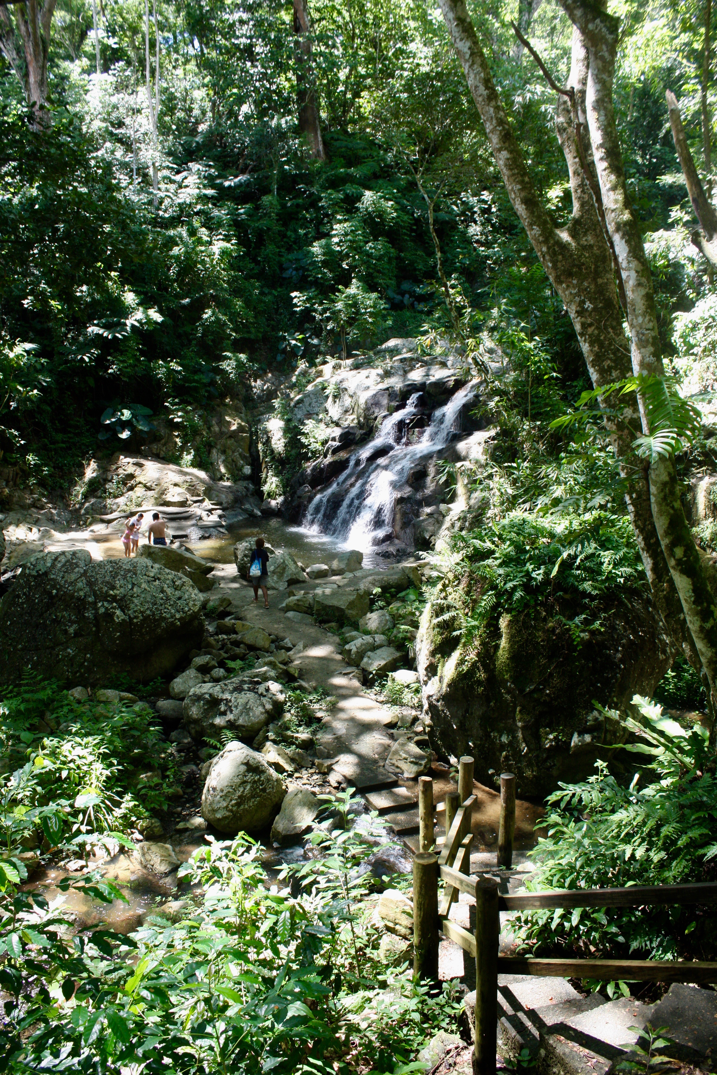 IMG_8501.jpg