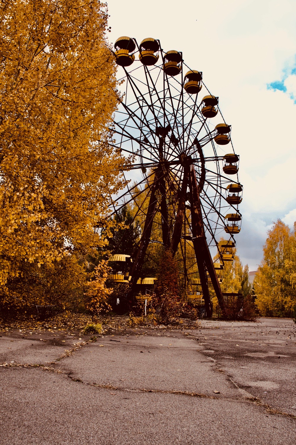 _MG_9910