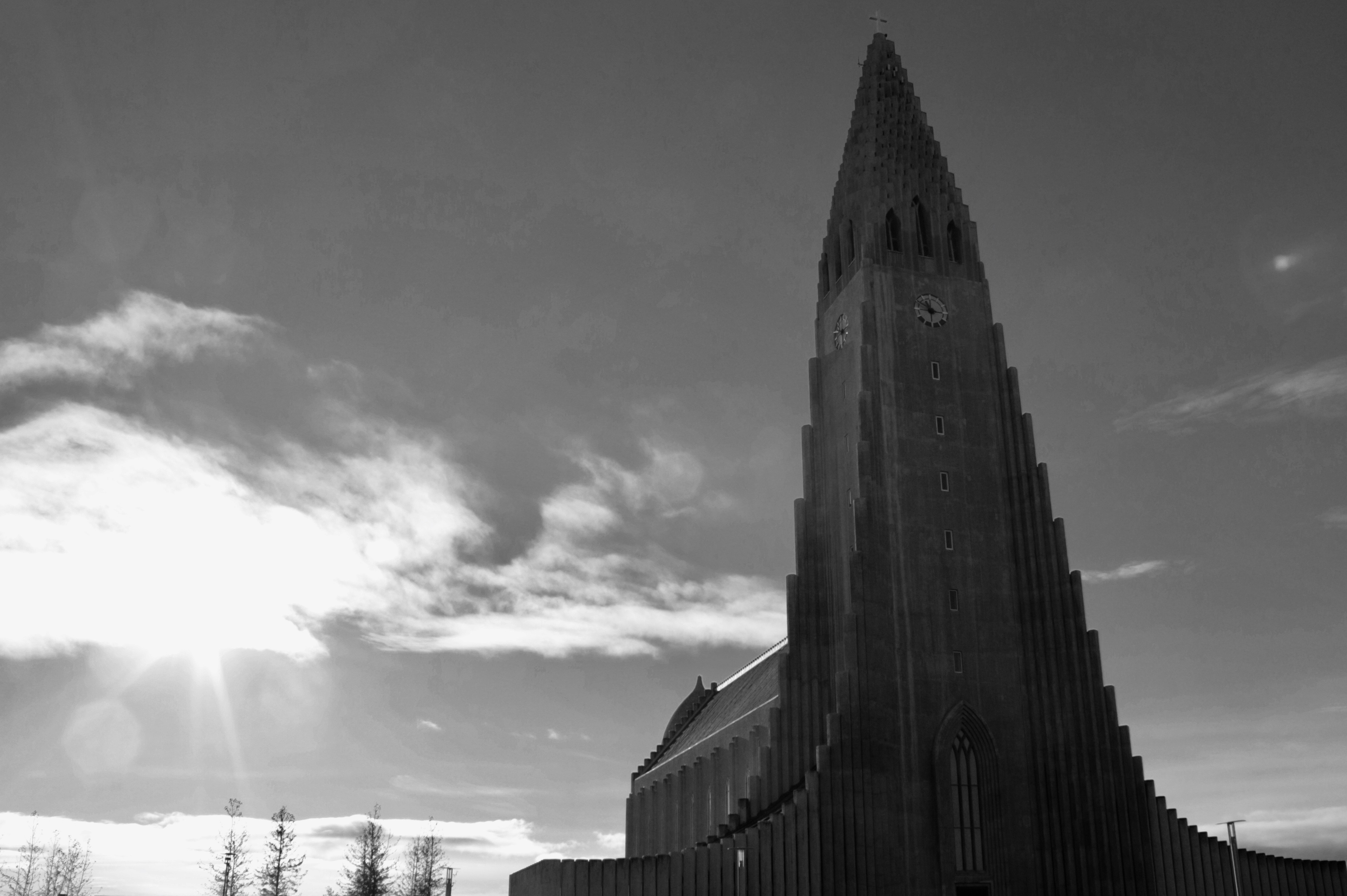 IMG_9903.jpeg